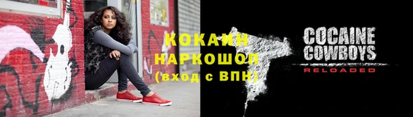 СК Алексин