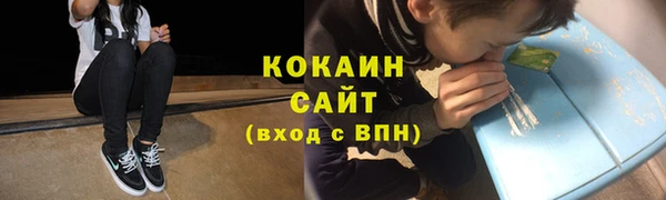 СК Алексин
