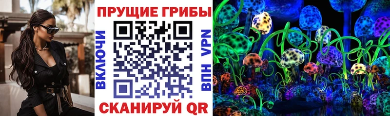 наркошоп  Рославль  Псилоцибиновые грибы Magic Shrooms 
