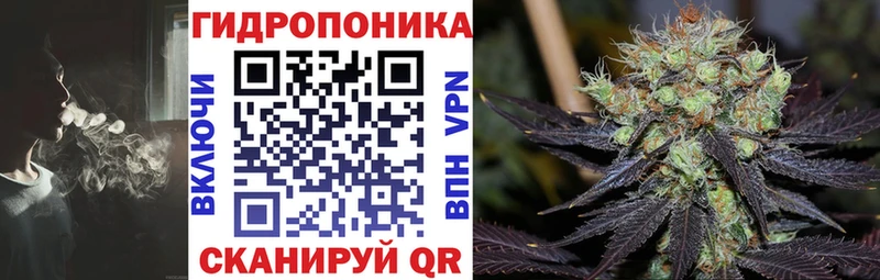 Каннабис Bruce Banner Рославль